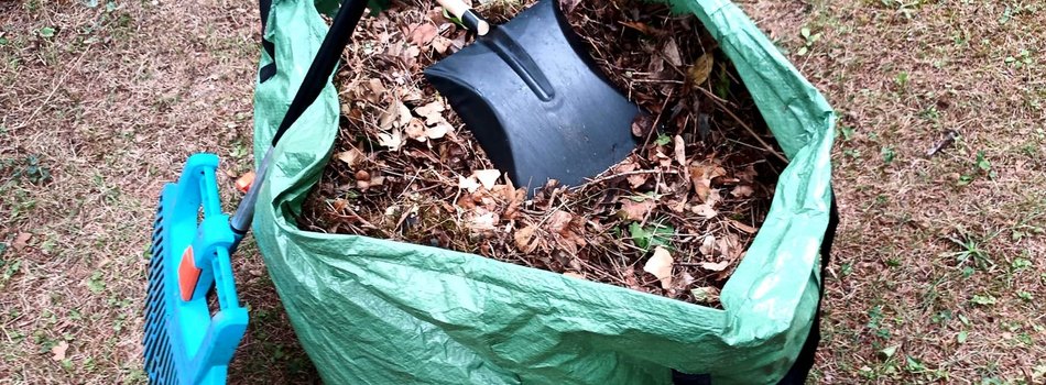 Im Herbst übernehmen wir die Laubbeseitigung und auch die Entsorgung der Abfälle.